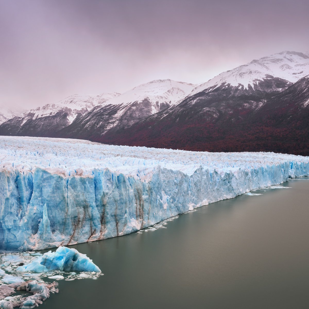 The blue ice wall of the Perito Moreno Glacier above a lake, with snowy mountains under a grey sky