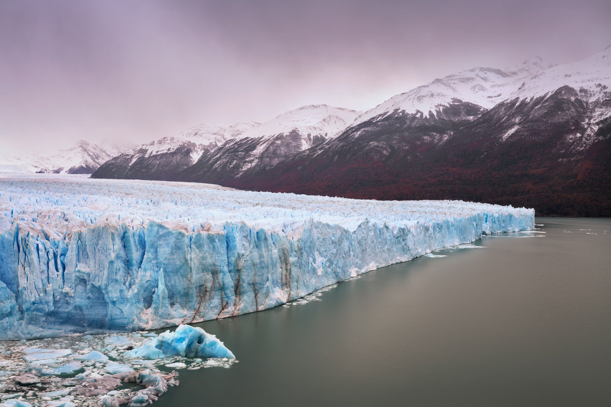 The blue ice wall of the Perito Moreno Glacier above smooth lake water, with floating ice in front and snowy mountains behind.
