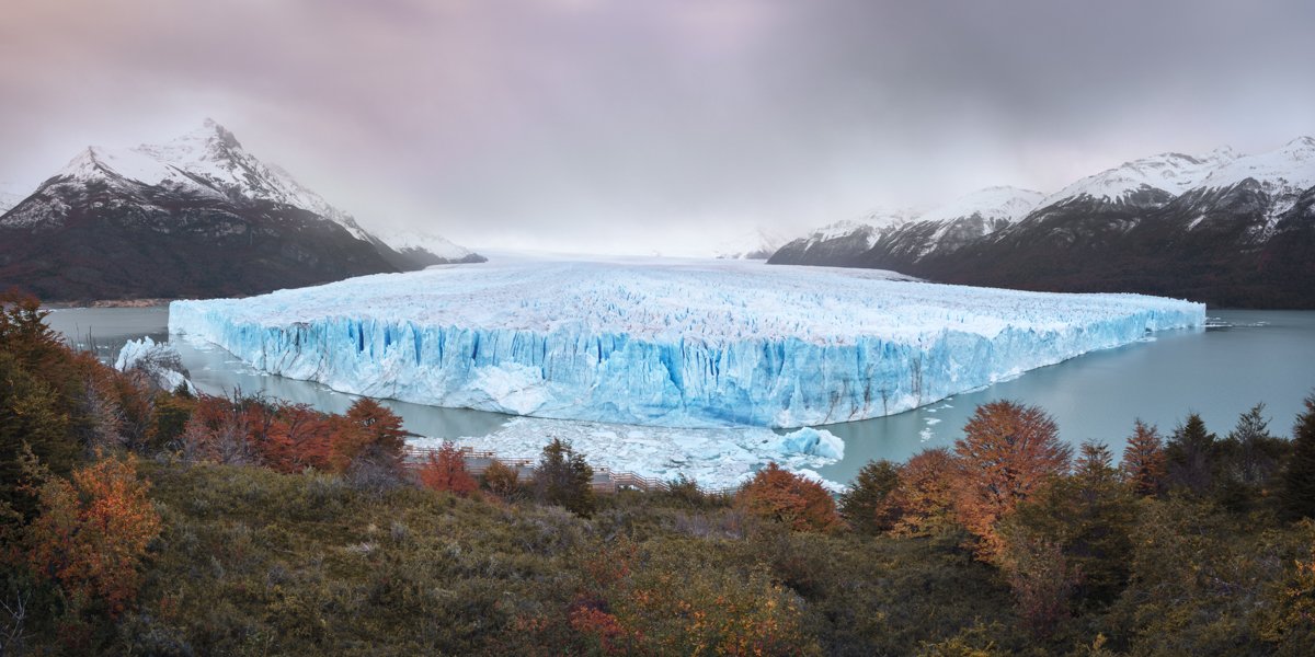 A wide view of the Perito Moreno Glacier, a wall of blue ice in a lake between snowy mountains, with red autumn trees in front.